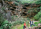 Wandern im Drachenbaumtal bei Buracas Dragos, unterhalb von Las Tricias : Höhlen, blühende Mandeln, Liane, Andrea
